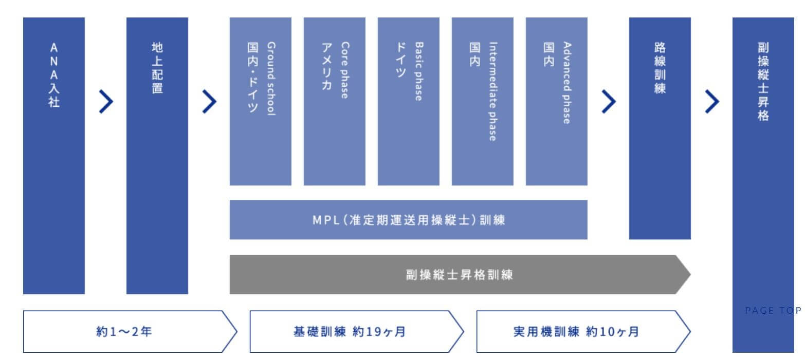 パイロットのなり方と就職事情 コロナの影響は 自社養成パイロットと航空大学校についても解説 面接官のホンネ