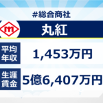 丸紅の年収・給与制度_月給賞与、そして生涯賃金と入社難易度を調査してみた